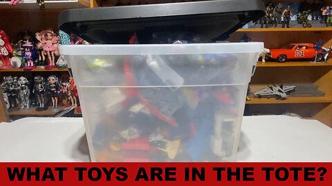 What Toys are in the Tote?