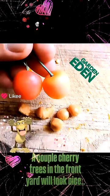 Space Monkey gardening..