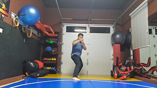 WTD 2 Step Kick Combination 170