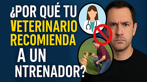 ¿Qué hacer si tu perro no mejora con el entrenador?