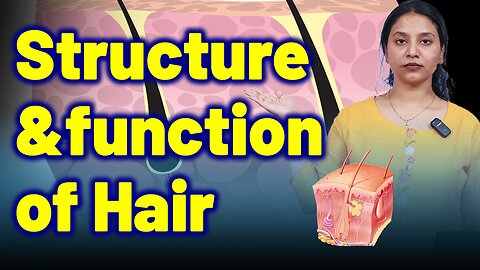 Structure & Function of hair fall | Treatment and Cure | Homeopathy, Medicine & Surgery