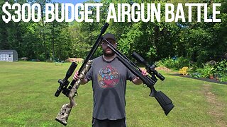 The Great .22 Caliber Airgun Battle of 2025 - Barra 1100z VS Beeman Chief II