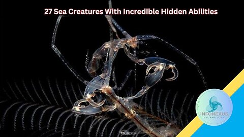27 Sea Creatures With Incredible Hidden Abilities
