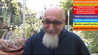 Patio Garden Open Discussion -- Sunday, May 18, 2025 [ASMR]