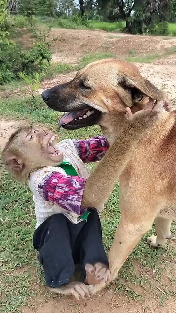 Best SokYaa, OG, Pao & Mom Are Videomous Around The World #shorts #anime #trend #edit