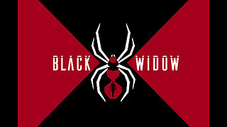 The New Black Widow Files