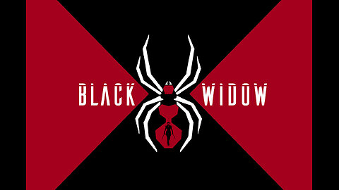 The New Black Widow Files