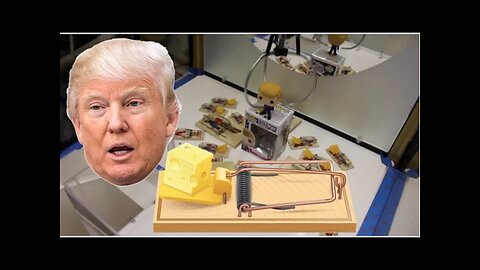 DONALD TRUMP IN A TON OF MOUSE TRAPS | WHAT HAPPENS?