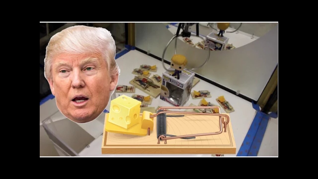 DONALD TRUMP IN A TON OF MOUSE TRAPS | WHAT HAPPENS?