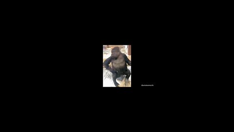 This chimpaanzi got fired by his trainer 😂