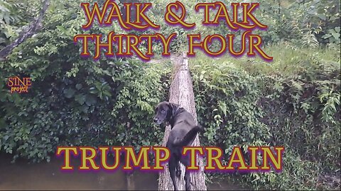 WALK & TALK 34 / TRUMP TRAIN