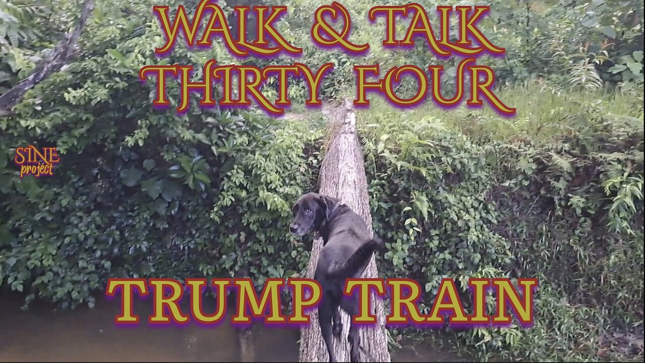WALK & TALK 34 / TRUMP TRAIN