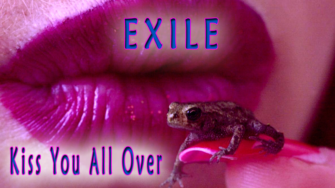 EXILE - Kiss You All Over _ Karaoke
