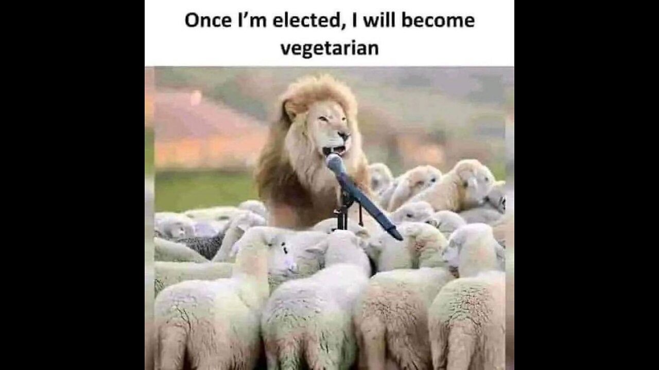 Who could’ve guessed it would backfire...