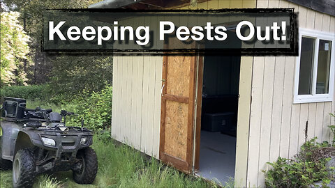 Sealing the Bathroom Against Animals and Bugs