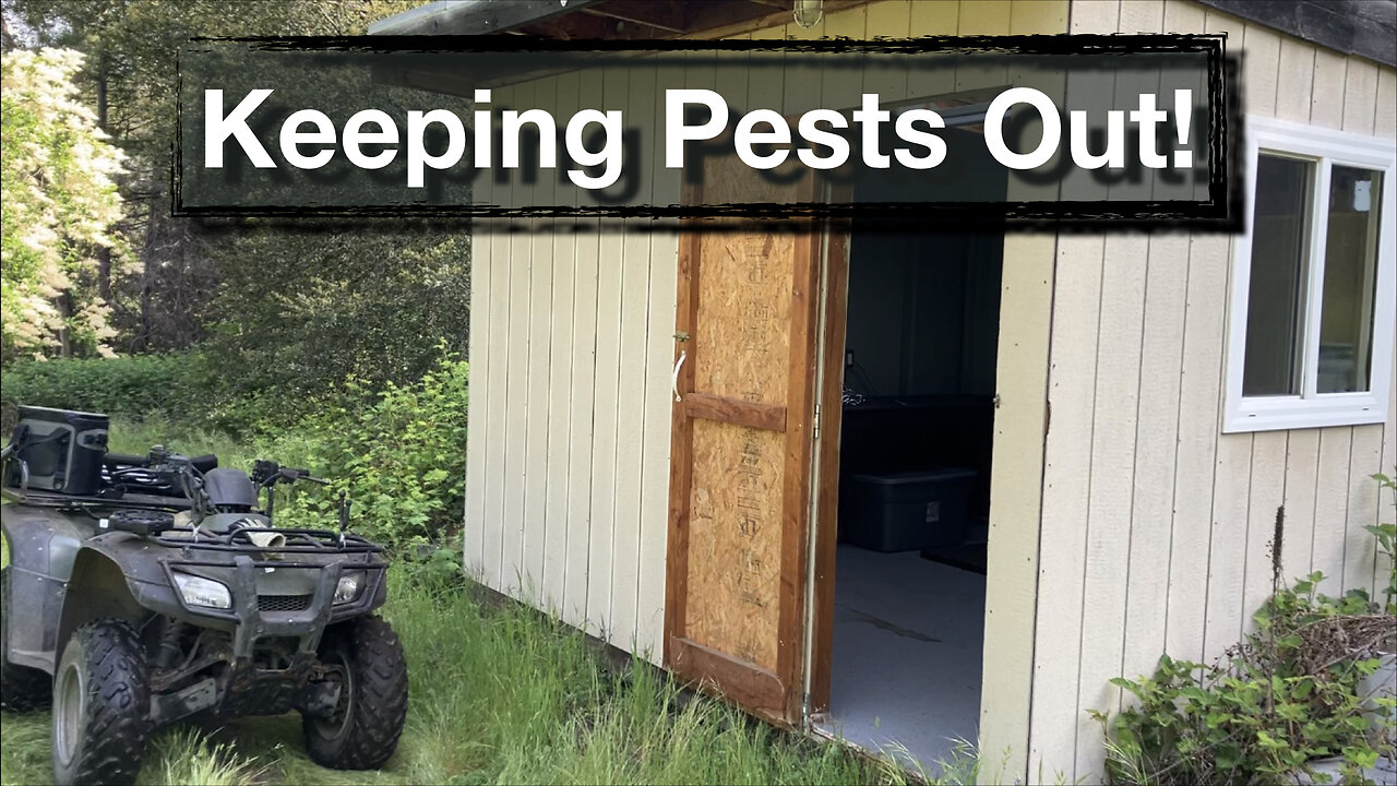 Sealing the Bathroom Against Animals and Bugs