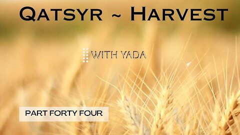 Qatsyr ~ Harvest Part Forty~Four 31 May 2025