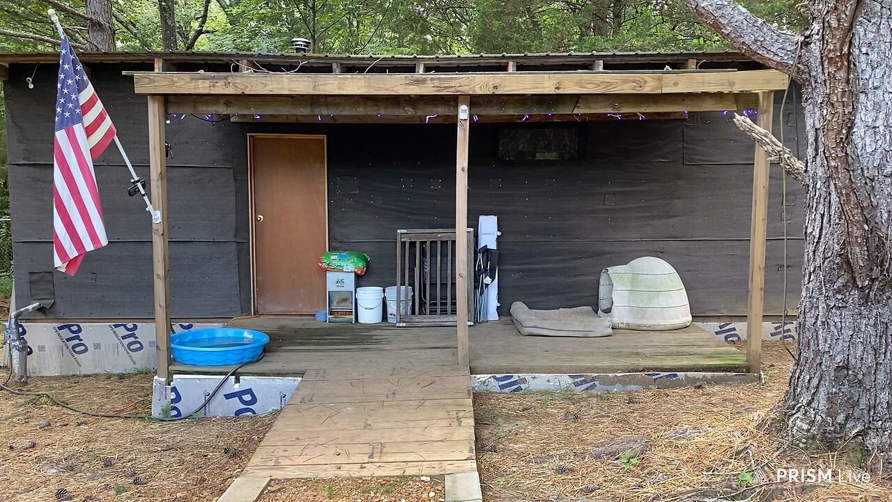 My very 1st garden…and updates on the homeystead…!! 😁