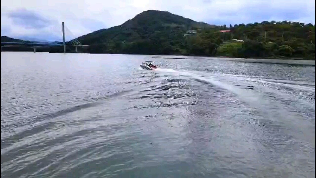 충주호