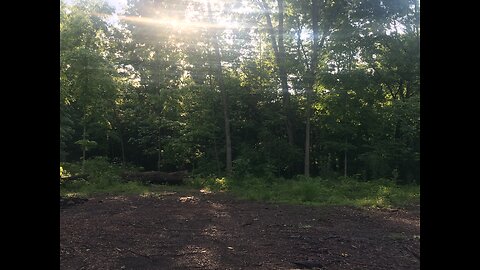 Join me for a food plot experiment