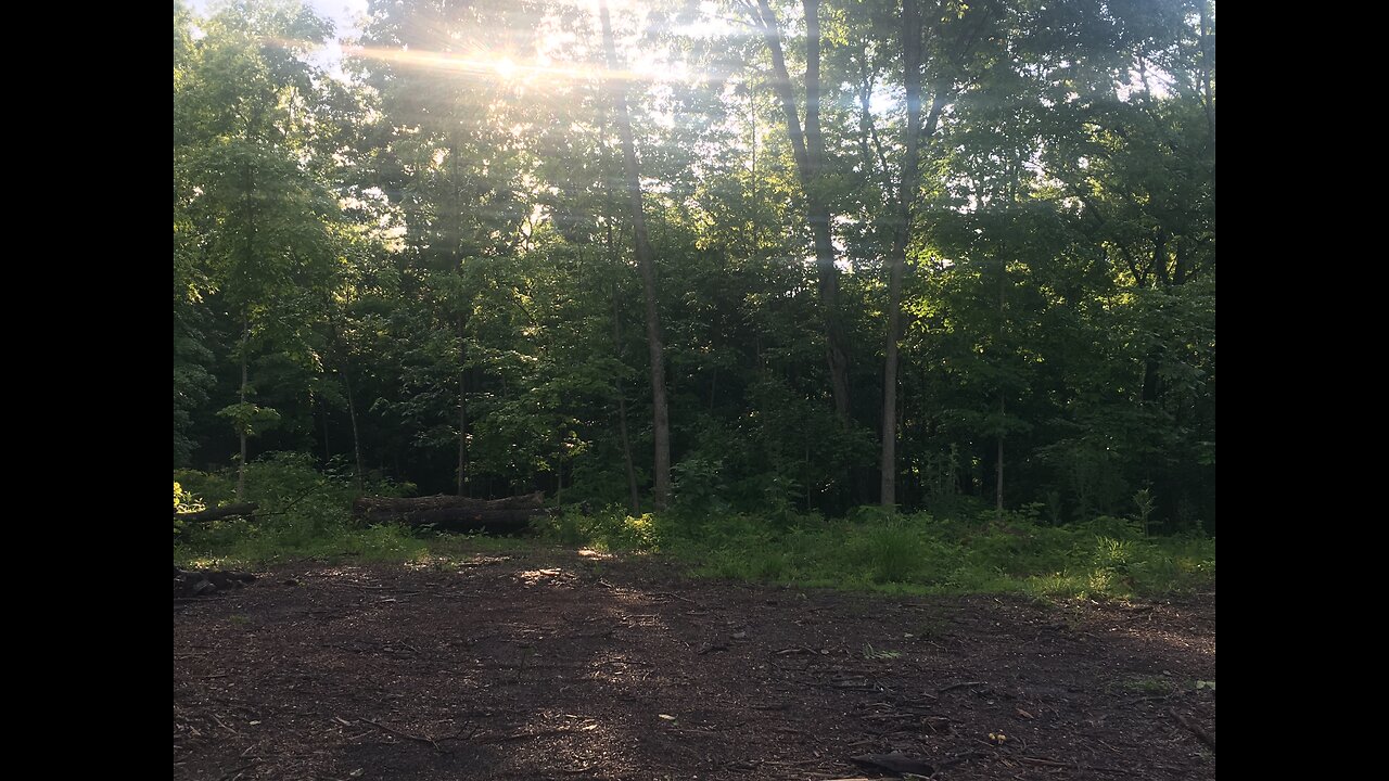 Join me for a food plot experiment