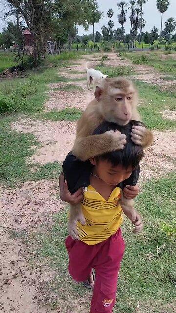 Best SokYaa, OG, Pao & Mom Are Videomous Around The World #shorts #anime #trend #edit