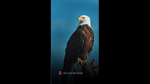 Student motivation | Motivational quotes | #motivation #viral #shorts #rumble