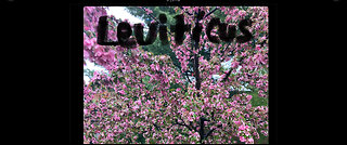 Leviticus 3, Peace offering, God, Animal Without Blemish, Worship, Obedience, Moses