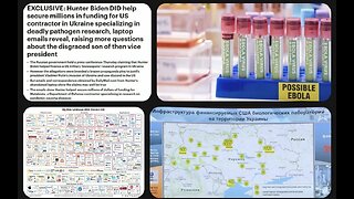 Metabiota is the company that had the contracts for the Biolabs in Ukraine