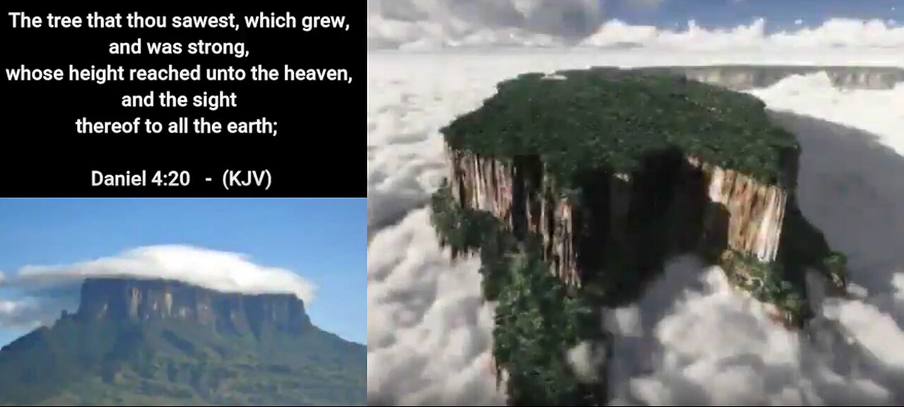 THE PARASITES & THE 'LAST' OF THE FATHERS GREAT TREES