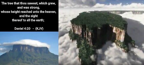 THE PARASITES & THE 'LAST' OF THE FATHERS GREAT TREES