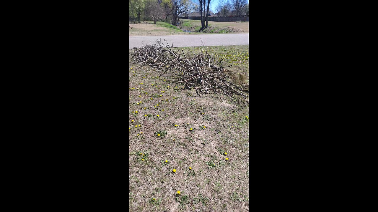 Weekend Clean Up In March 👍👍