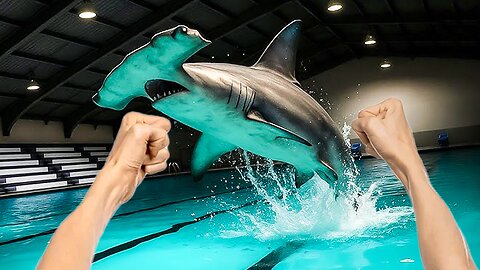This Awesome New Indie Horror Involving A Shark In A Pool Is Surprisingly Incredible