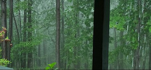 Rain