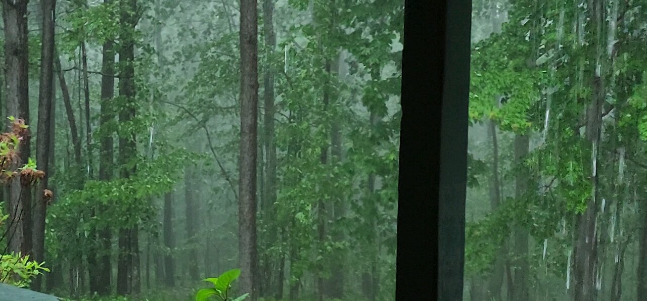 Rain