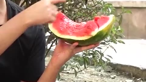 🍉 Can You Eat Watermelon Like That! | FunFM
