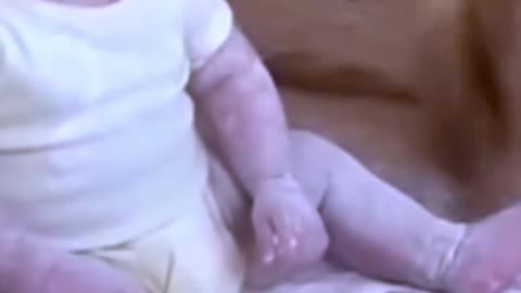 Baby and Dog Make the Funniest Mess Ever! 😂❤️