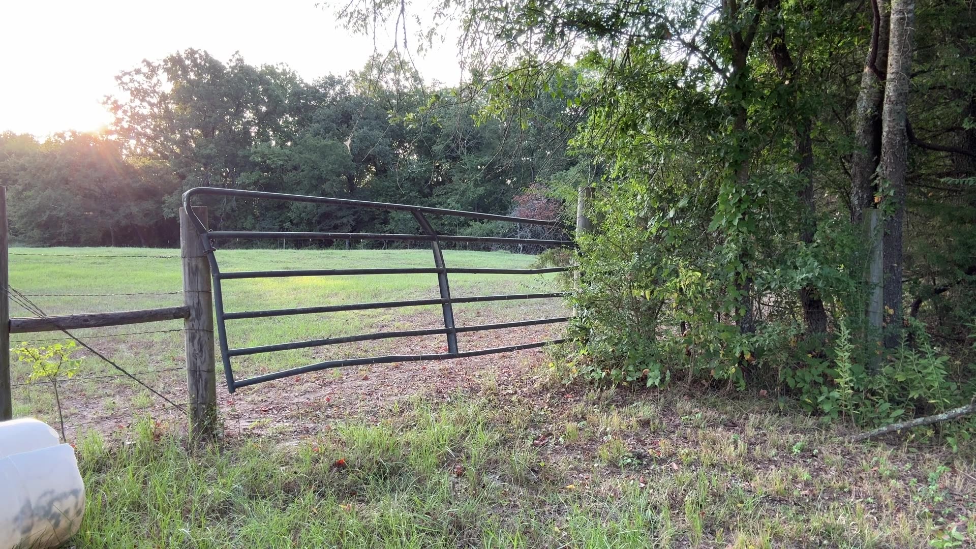 Morning Prayer, Daily Office