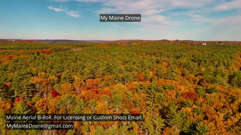 Maine B-Roll (No Sound): Fall Foliage at Lily Pond in New Gloucester, Maine Video 27