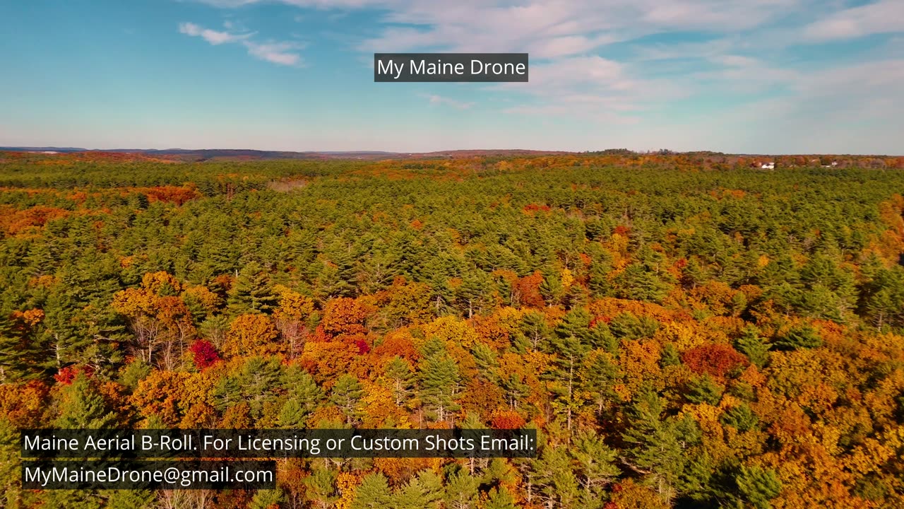 Maine B-Roll (No Sound): Fall Foliage at Lily Pond in New Gloucester, Maine Video 27