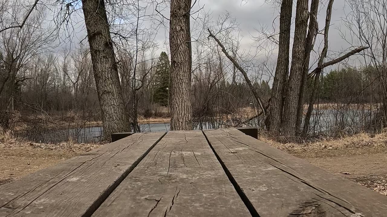 Short video