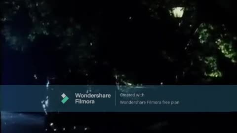 Dracula And Mina-If I Was Your Vampire