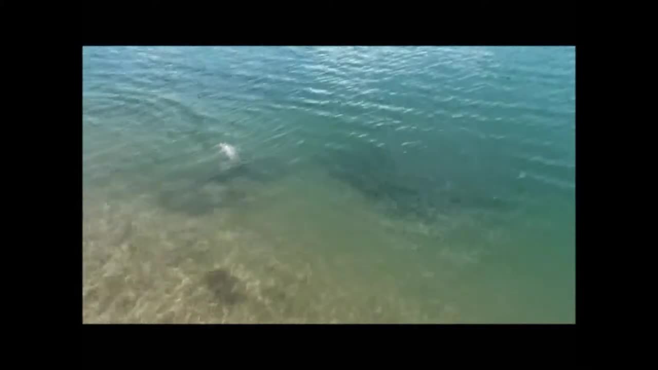 Catching rainbow trout
