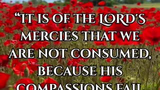 Lamentations 3:22