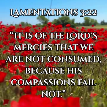 Lamentations 3:22