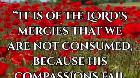 Lamentations 3:22