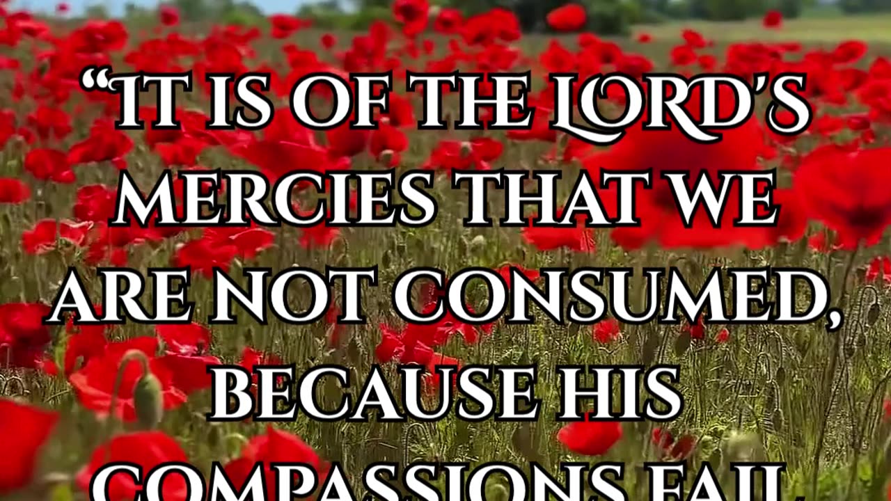 Lamentations 3:22