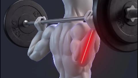 The PERFECT Squat - Fix Your Form Today!