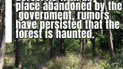 Dare to Enter the Parallel Forest?