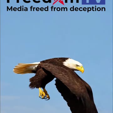 🇮🇱💥 No “Palestinian people” in history—Yasser Arafat INVENTED the label in the 1960s! 🗺️